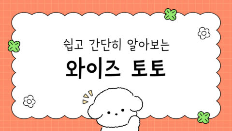 와이즈 토토